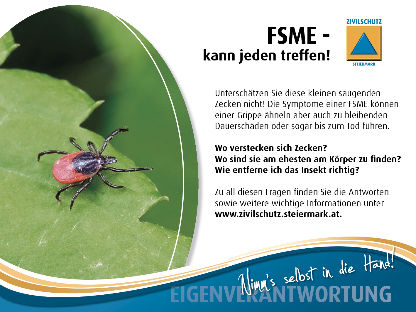 FSME Zecken Inserat 120x90